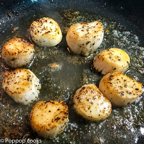 Pan Seared Scallops-2-poppopcooks.com-scallops-scallops recipes-recipe for scallops- seared scallops-cooking scallops